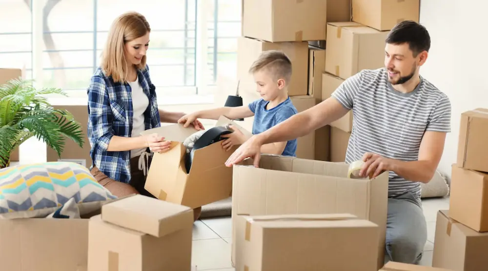 کارتن و کاربرد های آن