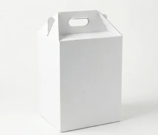 جعبه دسته دار سفید - بسته 10 عددی کد K403