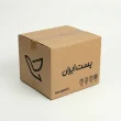 کارتن پستی با طرح شرکت پست - بسته 10 عددی کد P603